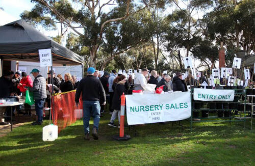 Nursery sale at Werribee Park Heritage Orchard
