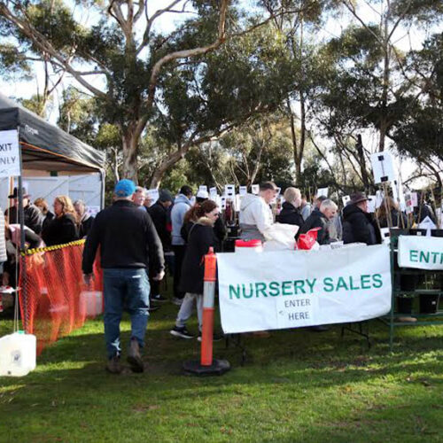 Werribee Park Heritage Orchard – Winter Heritage Fruit Tree Festival Nursery sale at Werribee Park Heritage Orchard