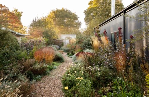 Rhonda Watson's garden