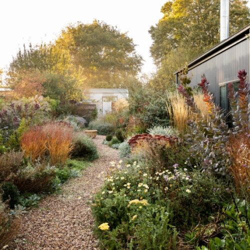 Rhonda Watson's garden