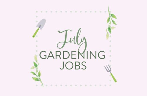 July gardening jobs