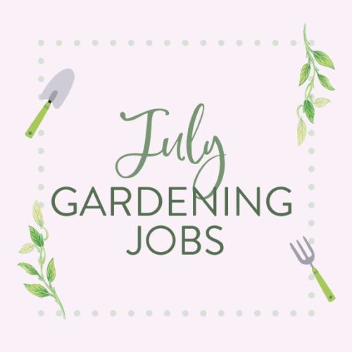 July gardening jobs
