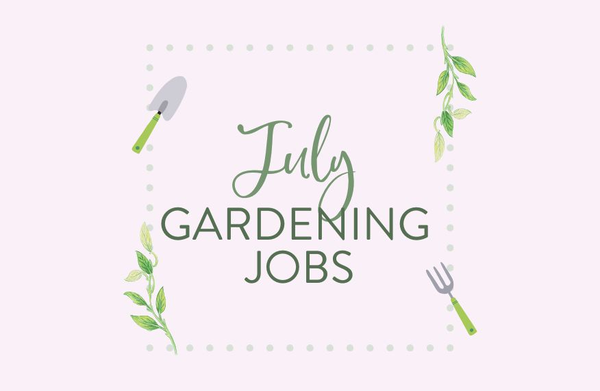 July gardening jobs