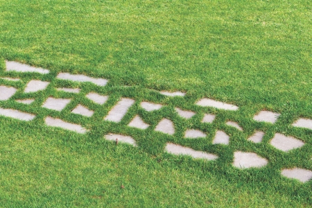 winter lawn care