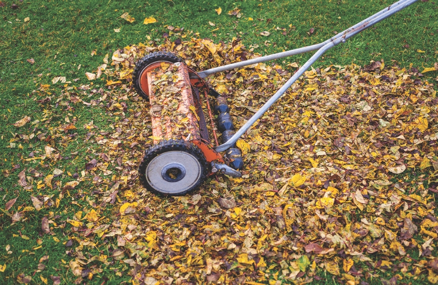 Winter lawn care