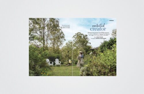 Claire Bickle's garden