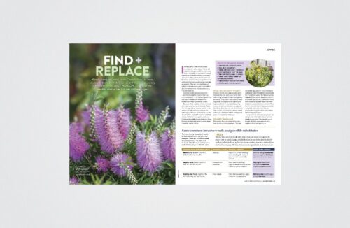 Weeds and alternatives