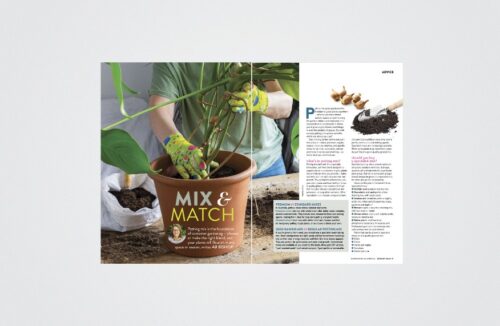 Potting mix