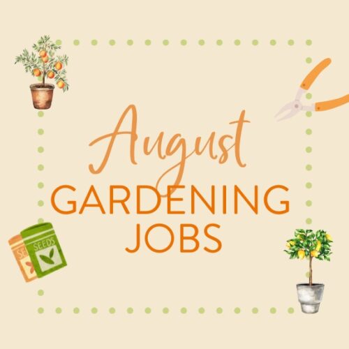 August gardening jobs
