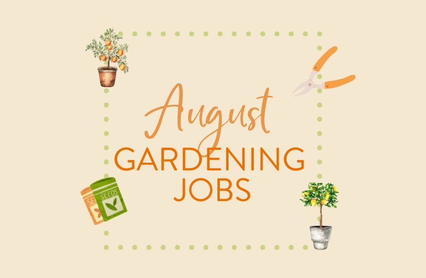 August gardening jobs