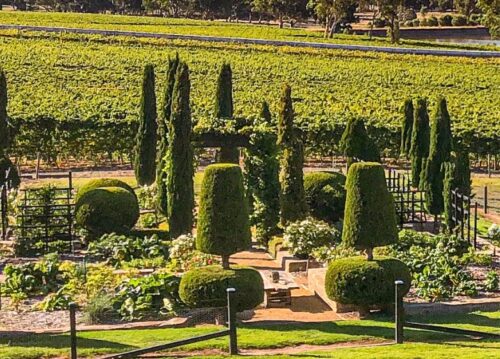 Bellosguardo open garden