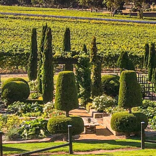 Bellosguardo open garden