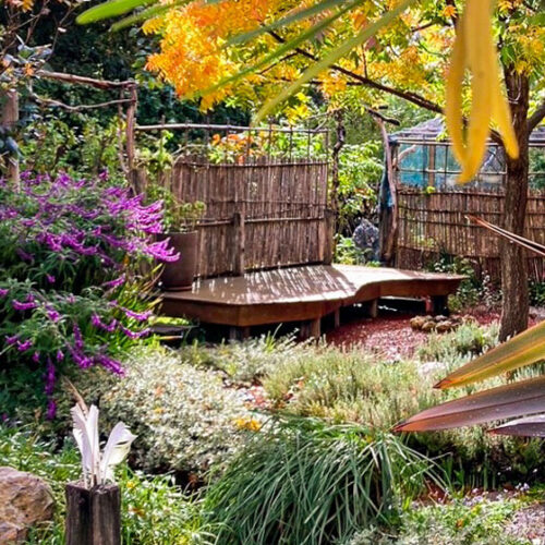 Etre garden. Open Gardens South Australia