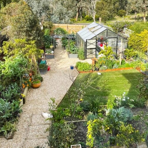Inge's Little Garden, Open Gardens Victoria
