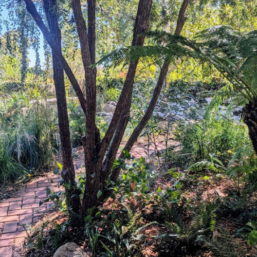 Jinka Falls, Open Gardens Canberra