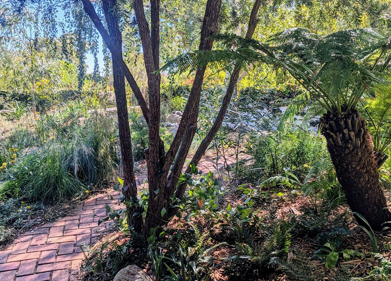 Jinka Falls, Open Gardens Canberra