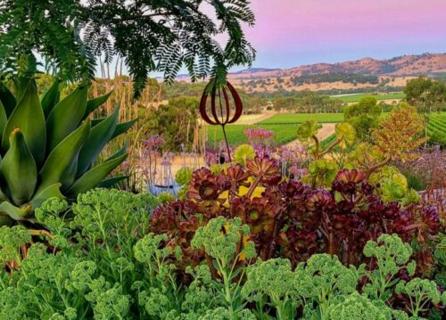 Orcombe Farm, Open Gardens South Australia