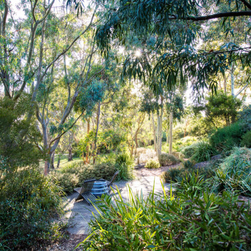 Red Gums