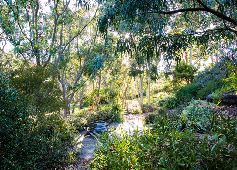 Red Gums