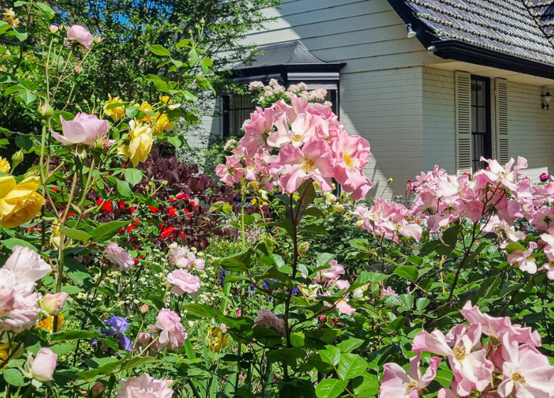 Sanders garden
