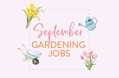 September gardening jobs