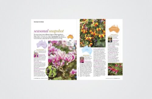 spring in different climates