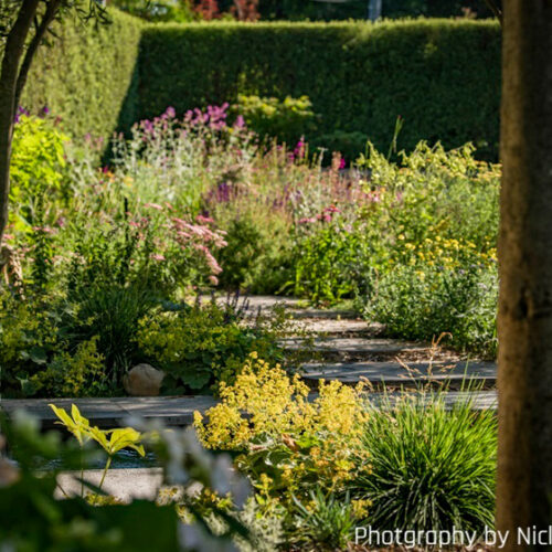 The Naturalistic Garden, Open Gardens Canberra