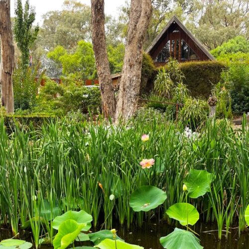 The Wattletree Garden, Open Gardens Victoria