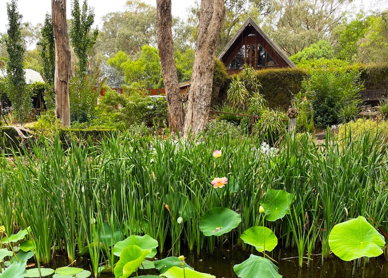 The Wattletree Garden, Open Gardens Victoria
