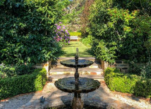 The Garden in Wilpena Street