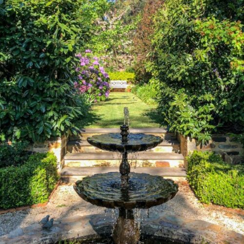 The Garden in Wilpena Street
