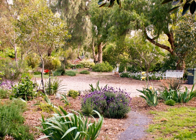 Peace garden