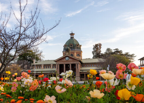 Bathurst spring spectacular