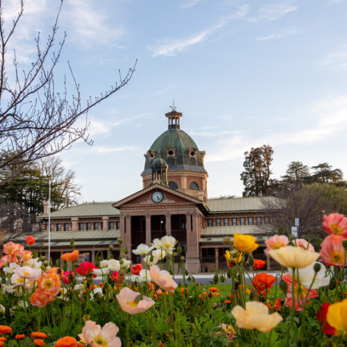 Bathurst spring spectacular