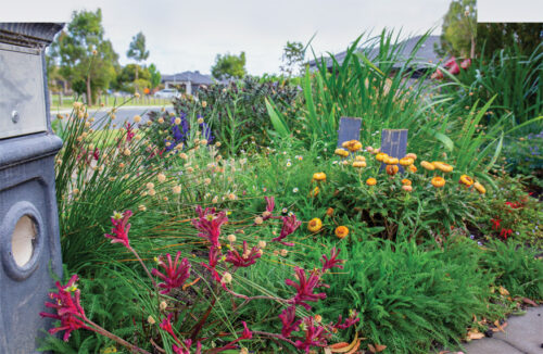 Breanna Parker's small garden in Melbourne