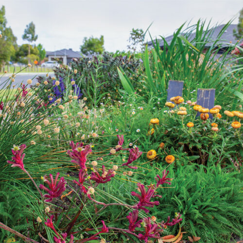 Breanna Parker's small garden in Melbourne