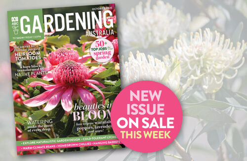 October 2025 issue of BC Gardening Australia magazine