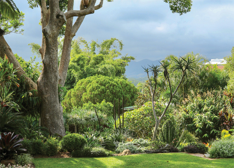 Planting under trees