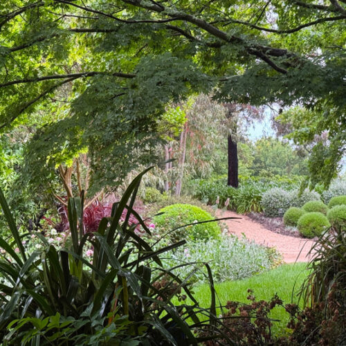 Ridgefield garden
