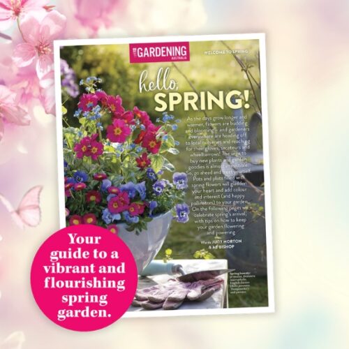 Welcome to spring