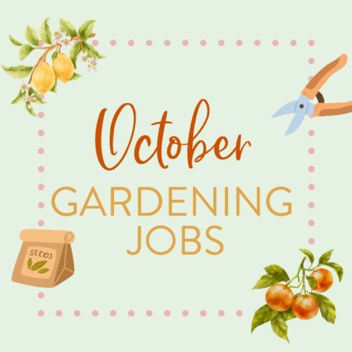 October gardening jobs