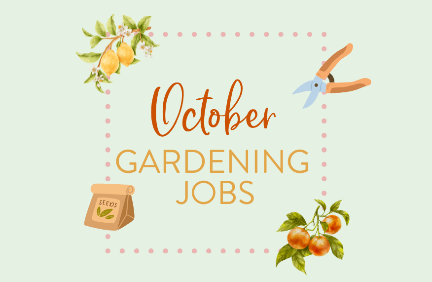 October gardening jobs
