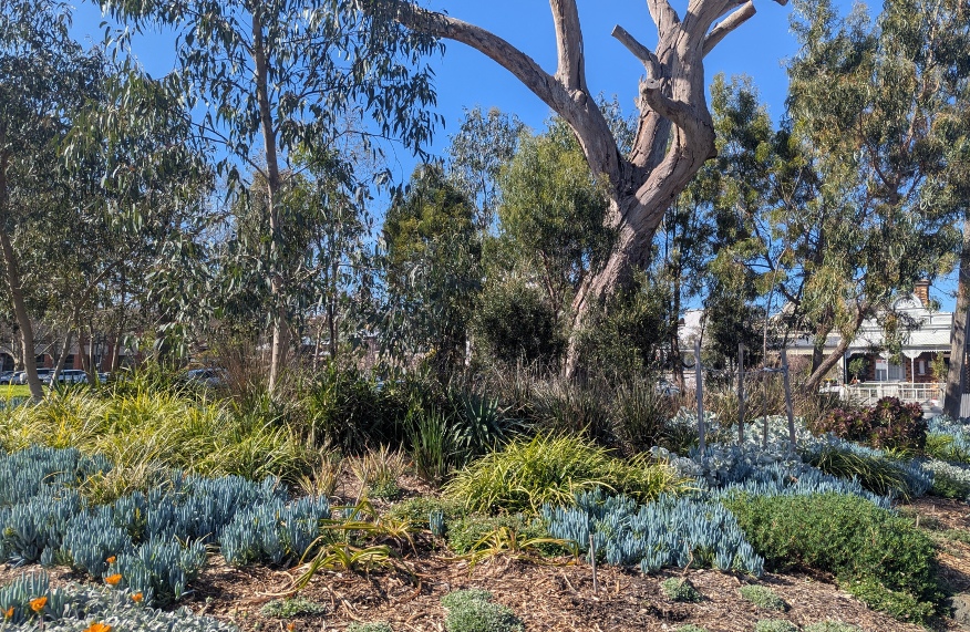 Basil's street garden