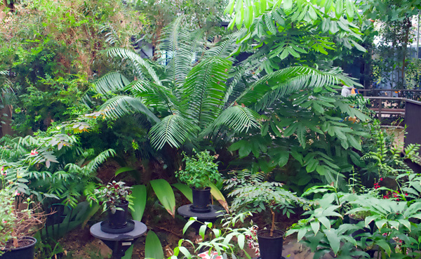 Melbourne Zoo's Butterfly House