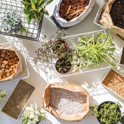 DIY potting mix