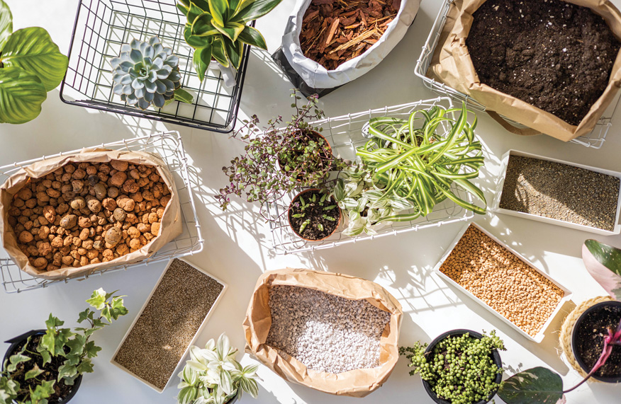 How to make the perfect potting mix DIY potting mix