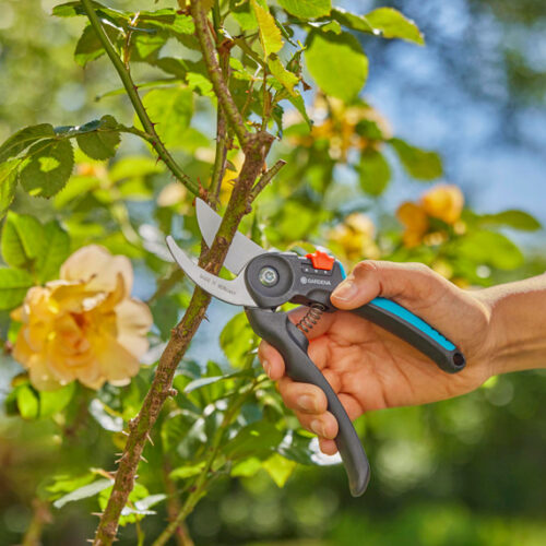 WIN a Gardena Cutting Range pack valued at $563.96 WIN a Gardena Cutting Range pack valued at $563.96