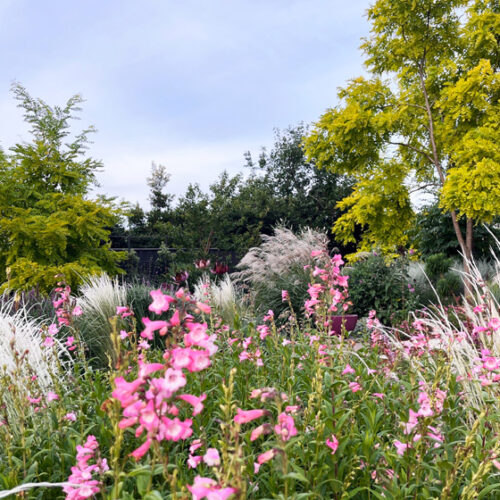 Garden of Hope, Open Gardens Victoria