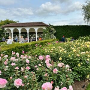 Great Trains of Europe Tours