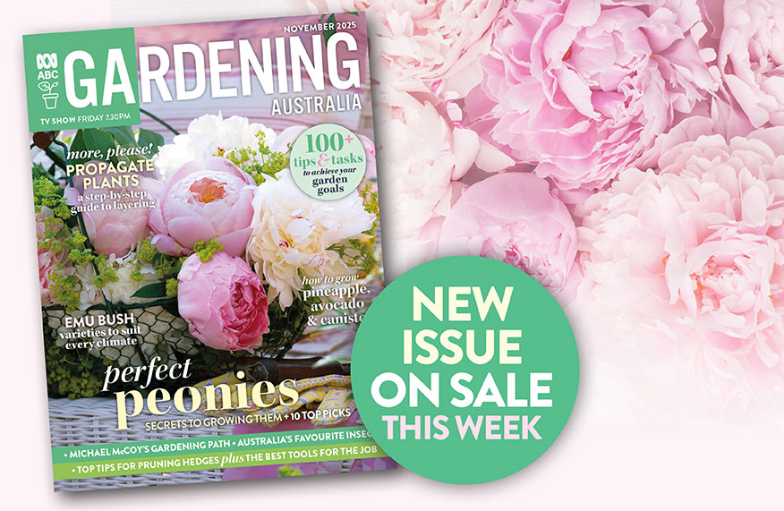 November issue of ABC Gardening Australia magazine